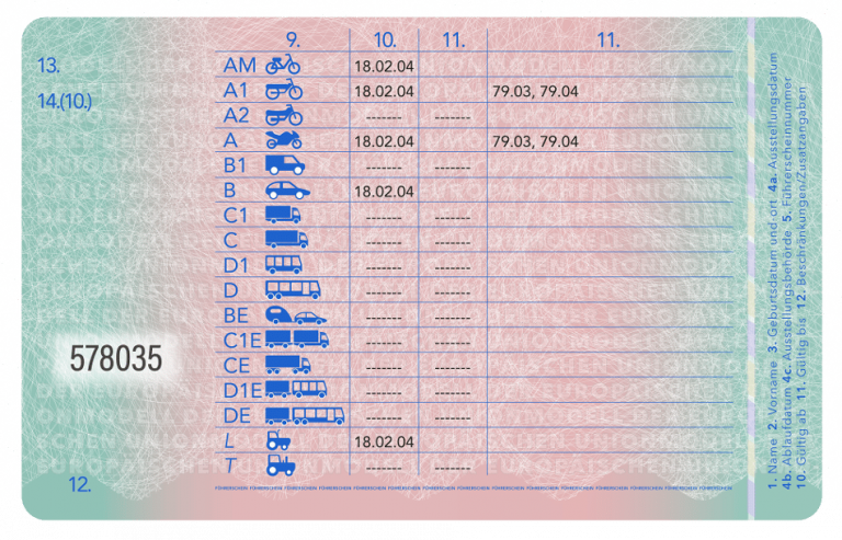 fuehrerschein-muster-hinten-768x493.png